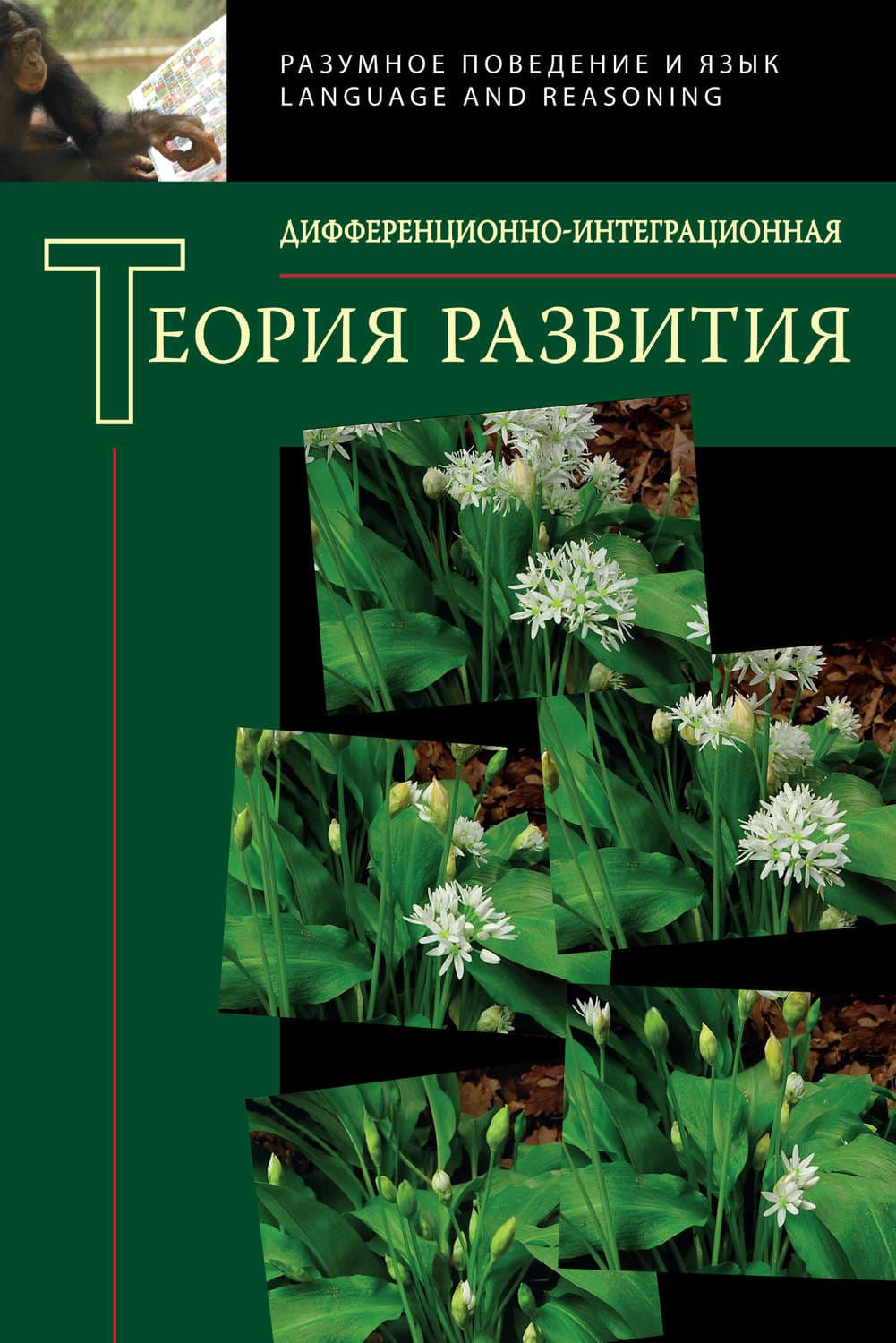 Обложка книги «Дифференционно-интеграционная теория развития. Книга 2» — Сборник статей