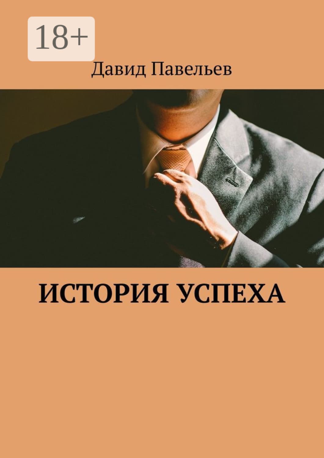 Обложка книги «История успеха» — Давид Павельев