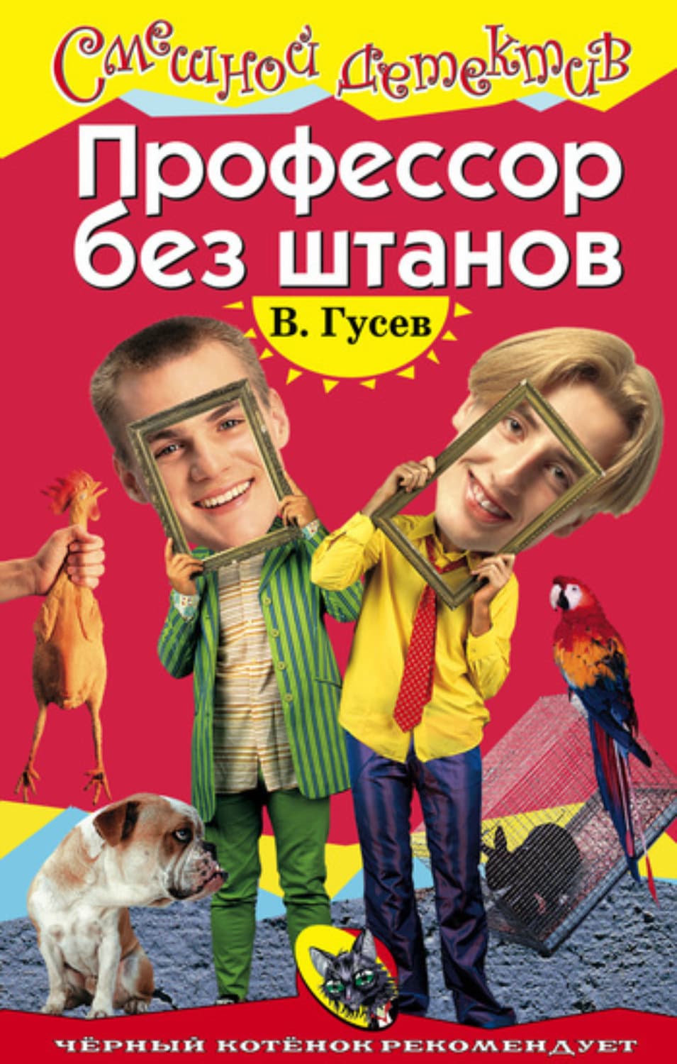 Обложка книги «Профессор без штанов» — Валерий Гусев