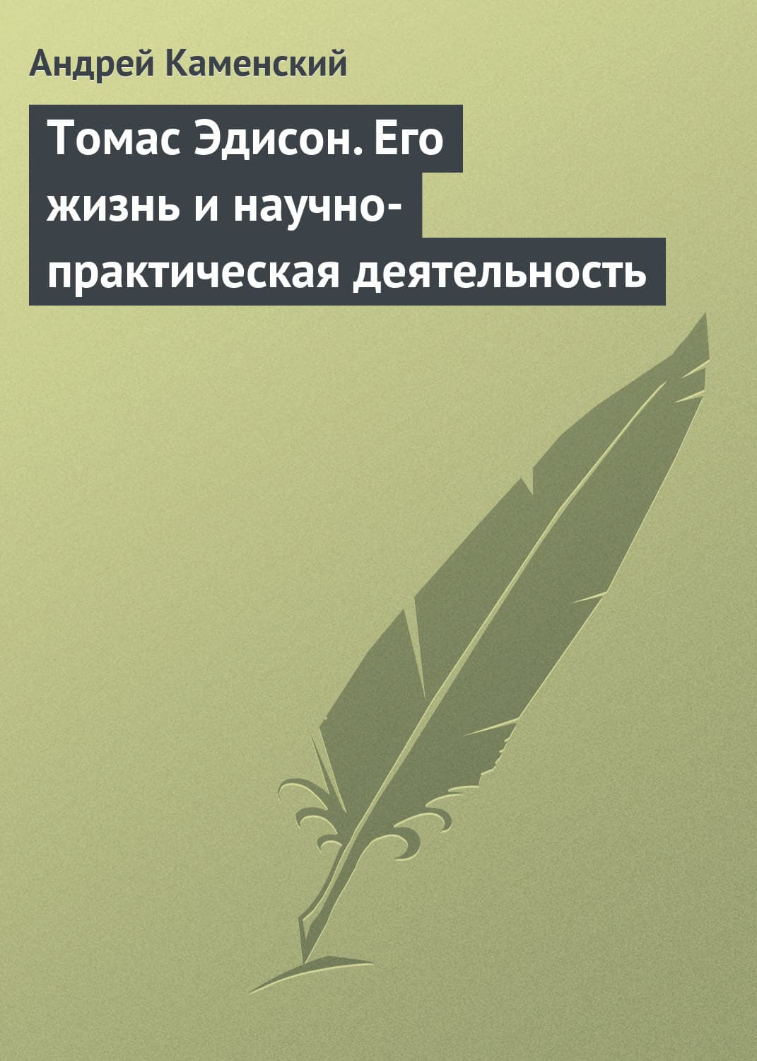 Обложка книги «Томас Эдисон. Его жизнь и научно-практическая деятельность» — Андрей Каменский