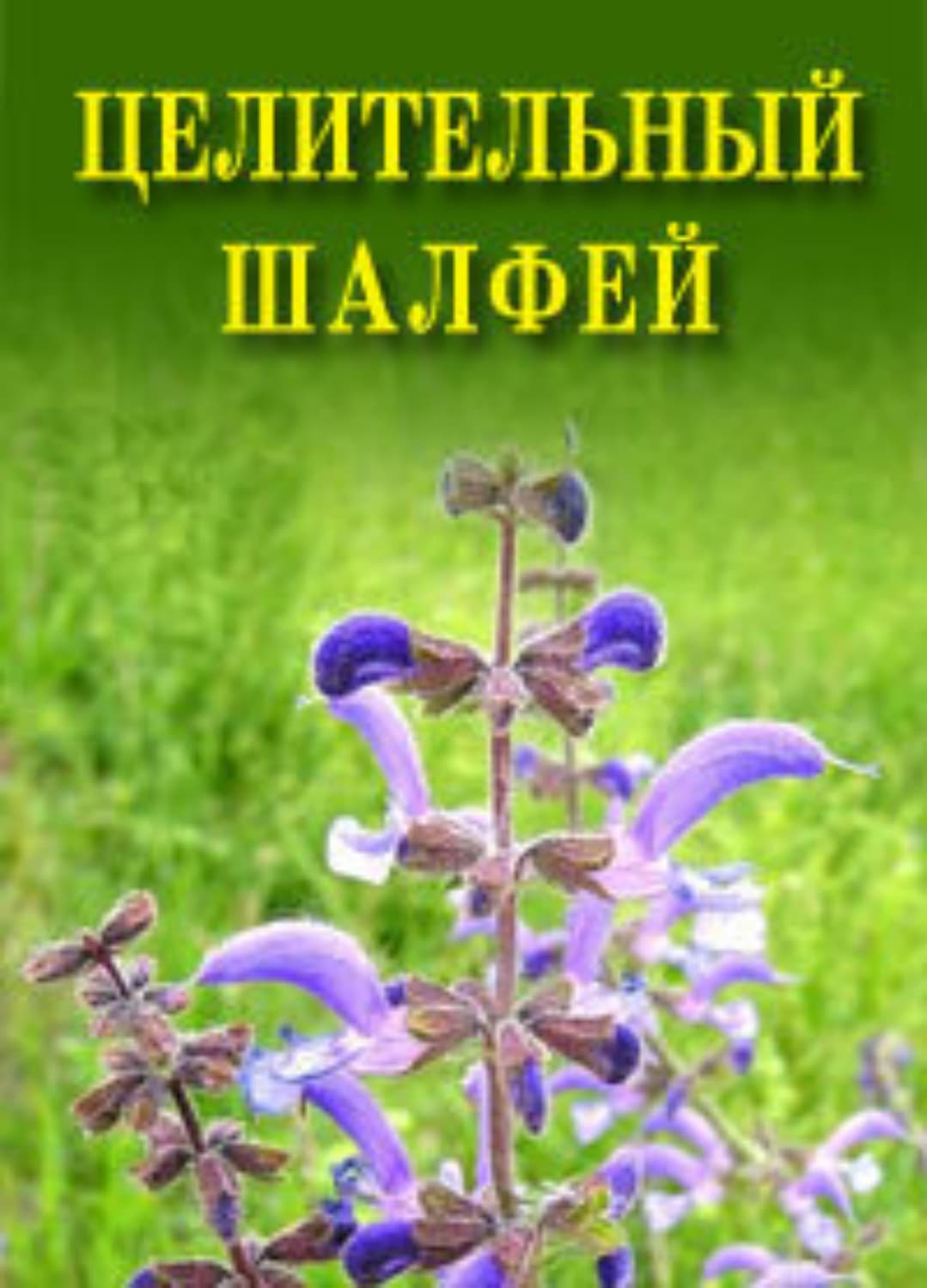 Обложка книги «Целительный шалфей» — Иван Дубровин