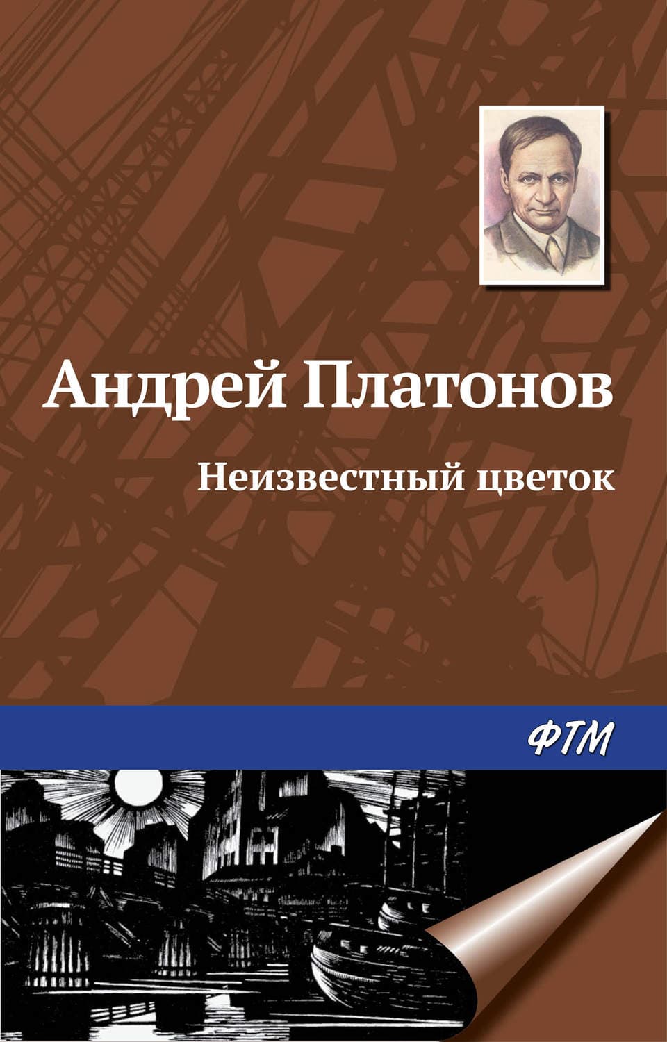 Обложка книги «Неизвестный цветок» — Андрей Платонов
