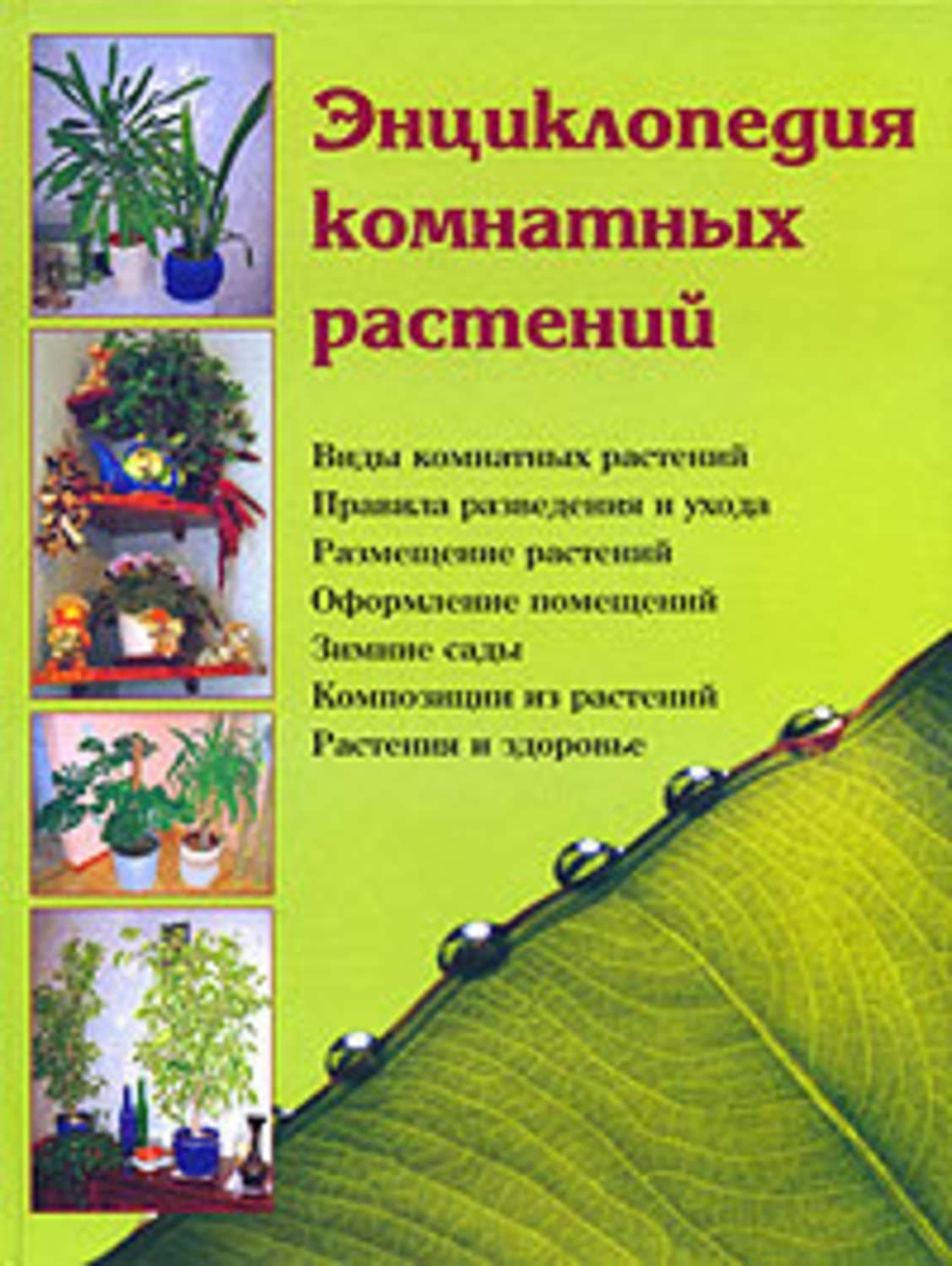 Обложка книги «Энциклопедия комнатных растений» — Наталья Шешко