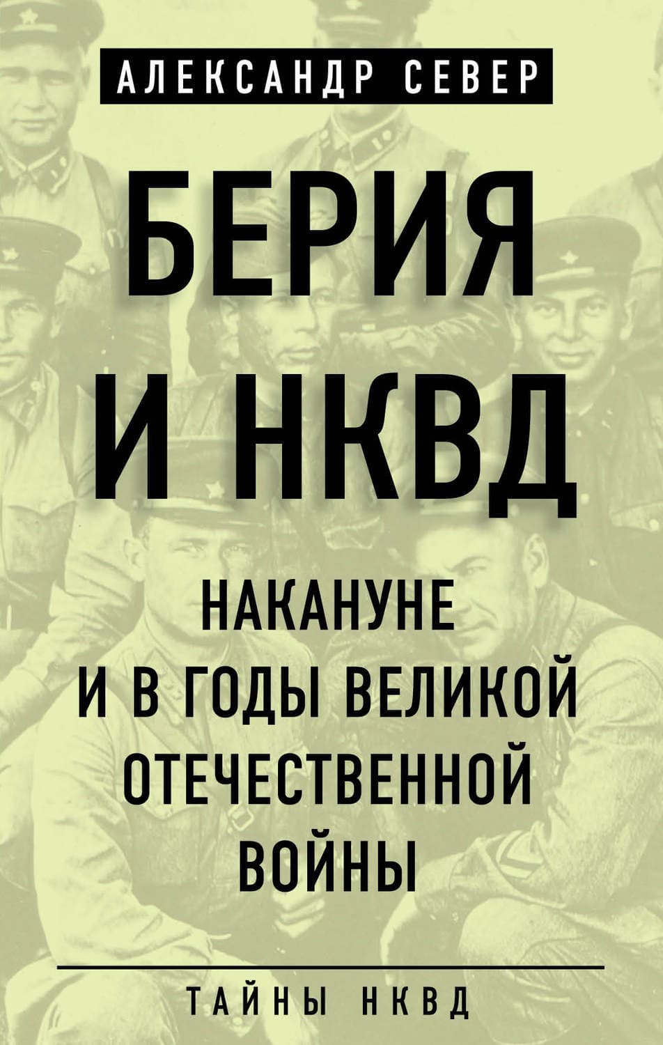 Обложка книги «Берия и НКВД накануне и в годы Великой Отечественной войны» — Александр Север