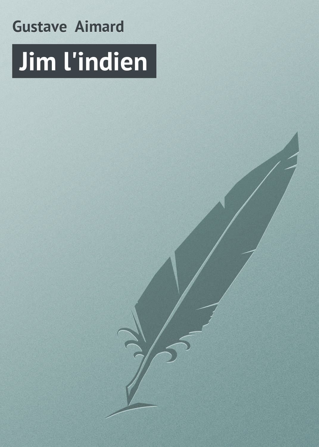 Обложка книги «Jim l'indien» — Густав Эмар
