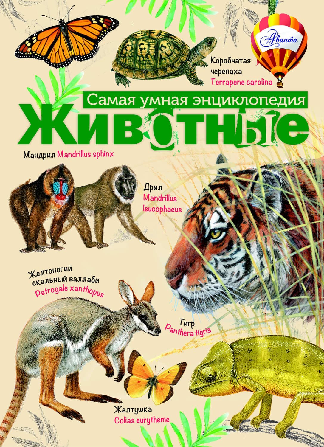 Обложка книги «Животные» — Коллектив авторов