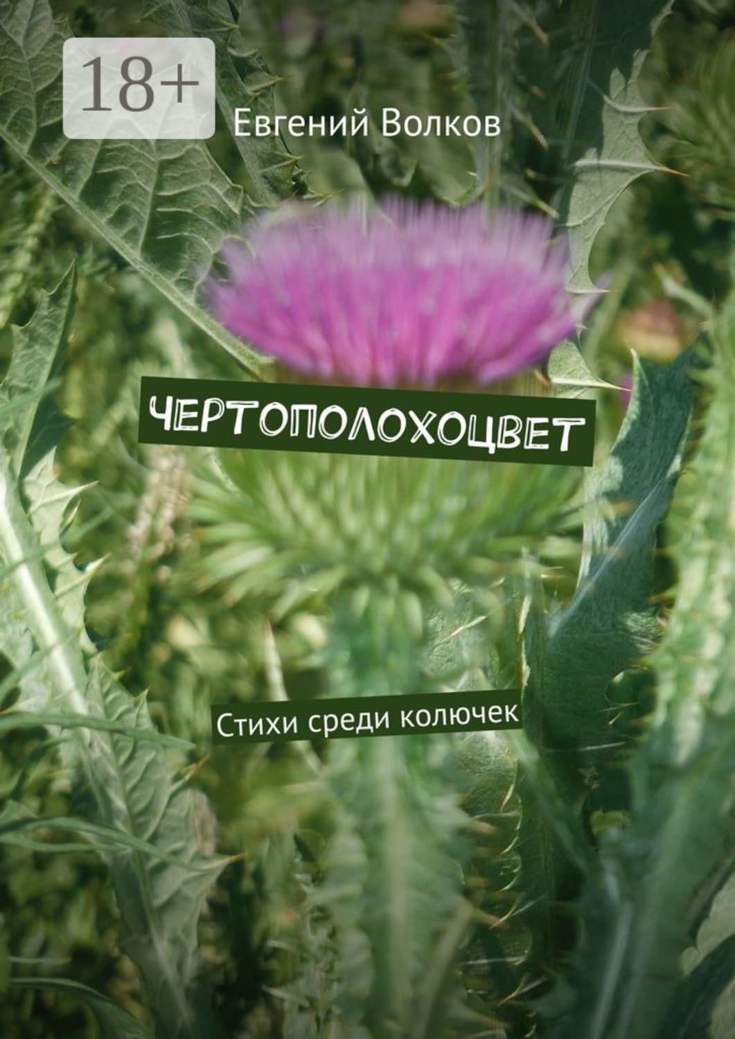Обложка книги «Чертополохоцвет. Стихи среди колючек» — Евгений Волков