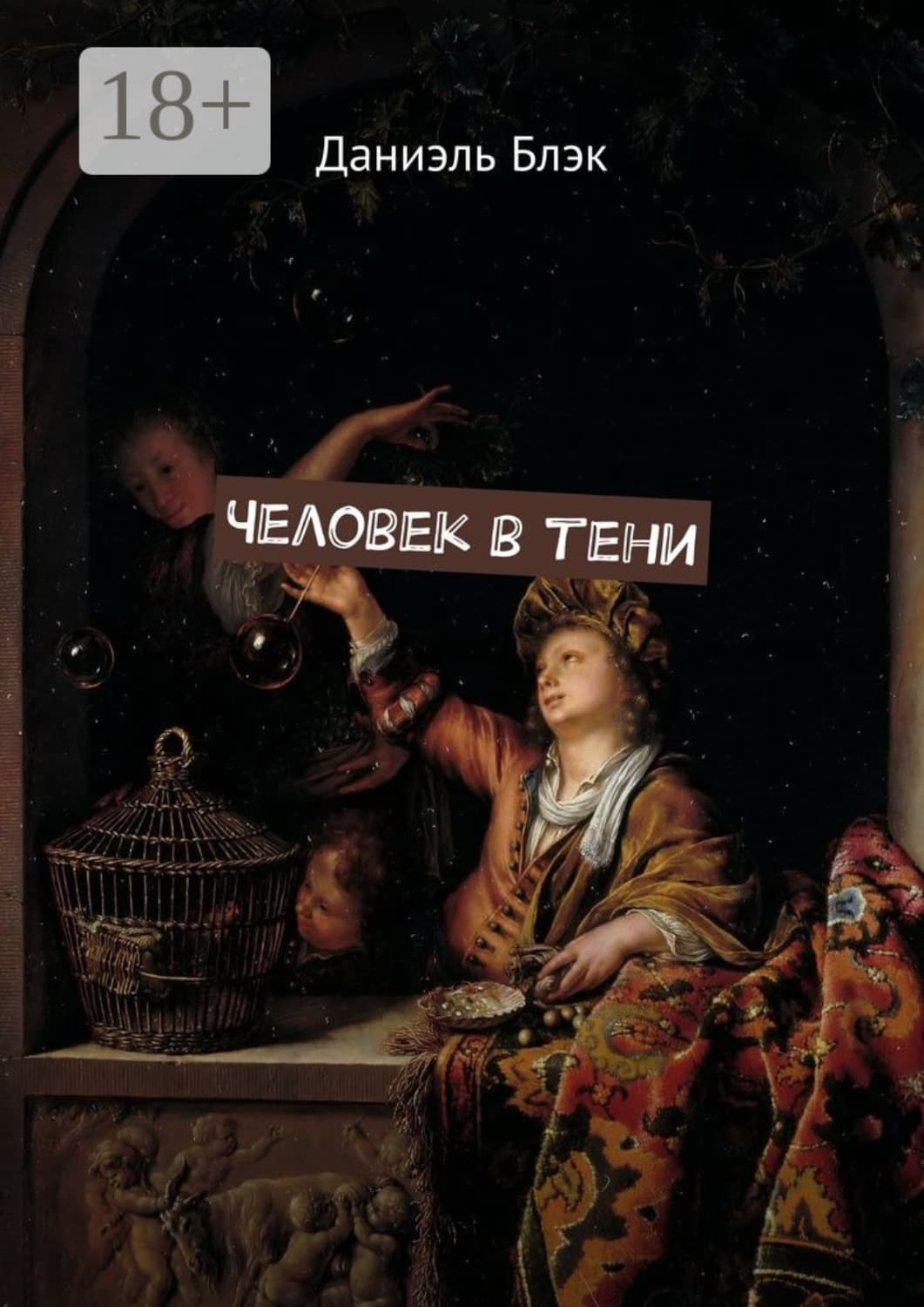 Обложка книги «Человек в тени» — Даниэль Блэк