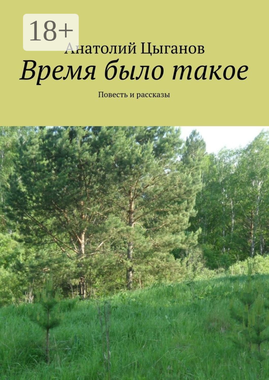 Обложка книги «Время было такое. Повесть и рассказы» — Андрей Цыганов