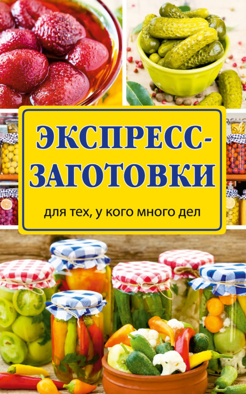 Обложка книги «Экспресс-заготовки» — Виктория Рошаль