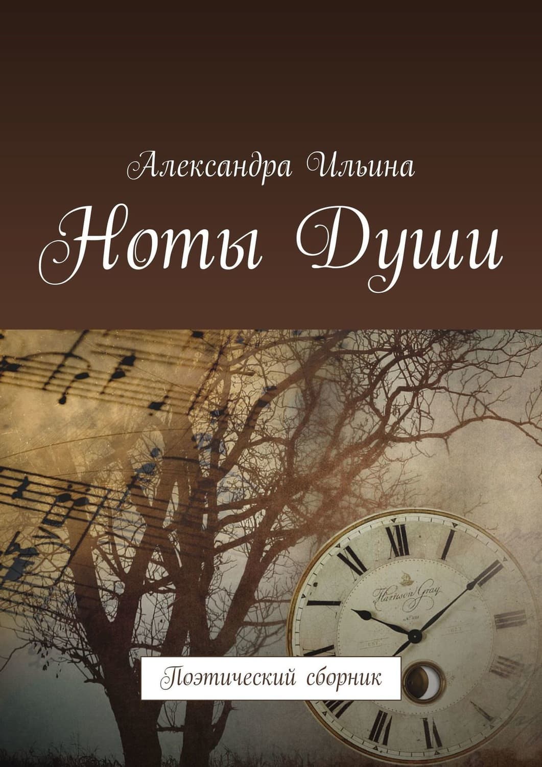 Обложка книги «Ноты Души. Поэтический сборник» — Александра Ильина