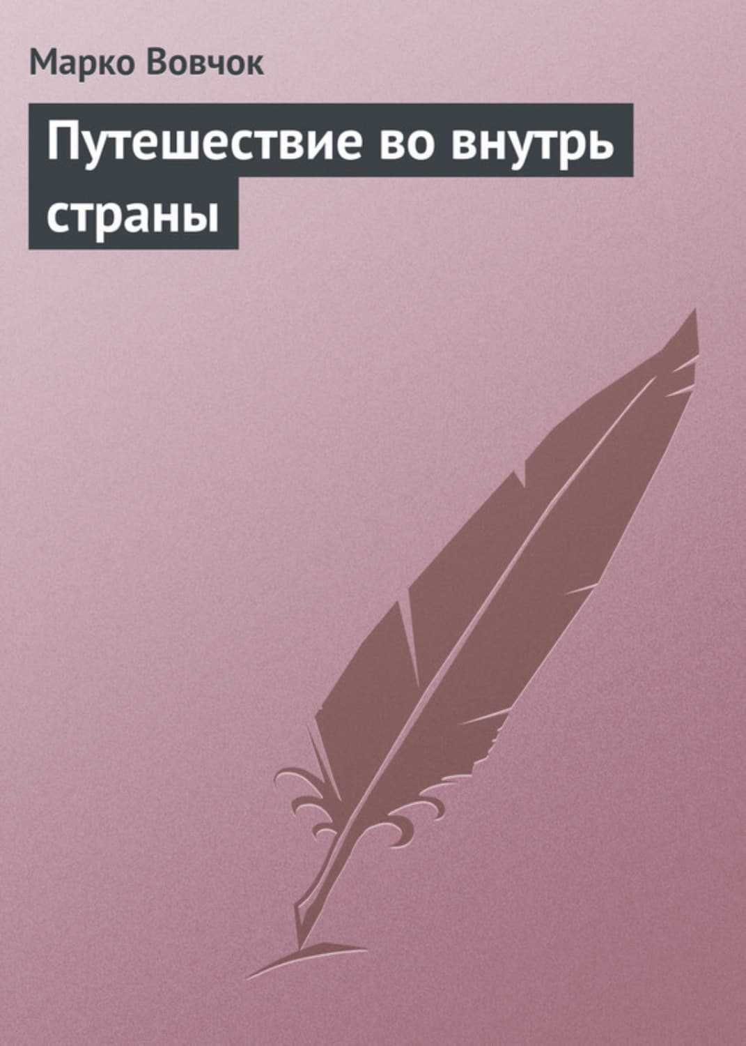 Обложка книги «Путешествие во внутрь страны» — Вовчок Марко
