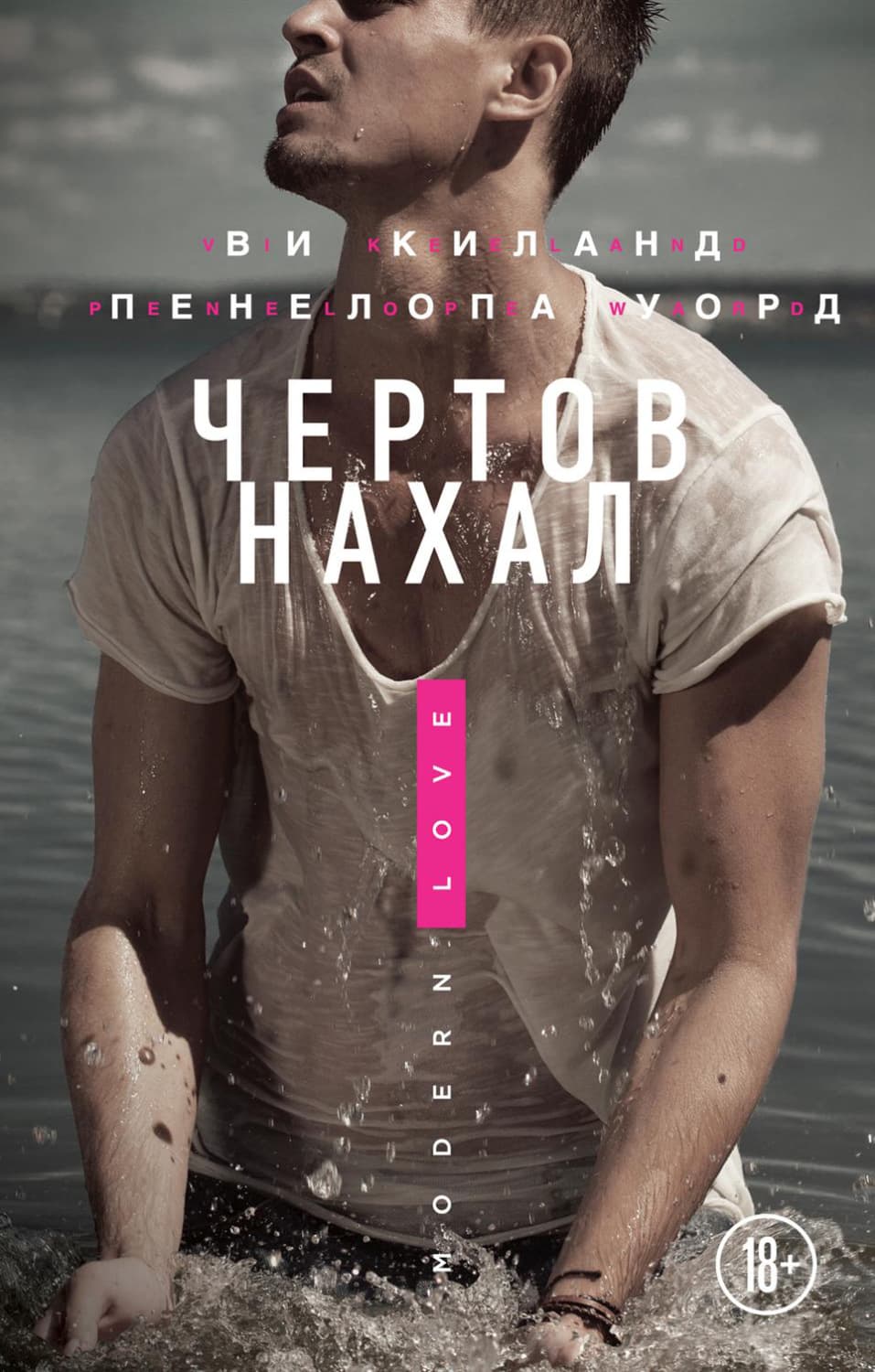 Обложка книги «Чертов нахал» — Ви Киланд
