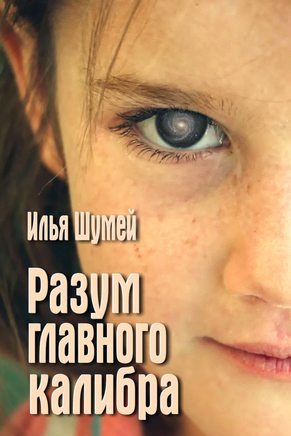 Обложка книги «Разум главного калибра» — Илья Шумей