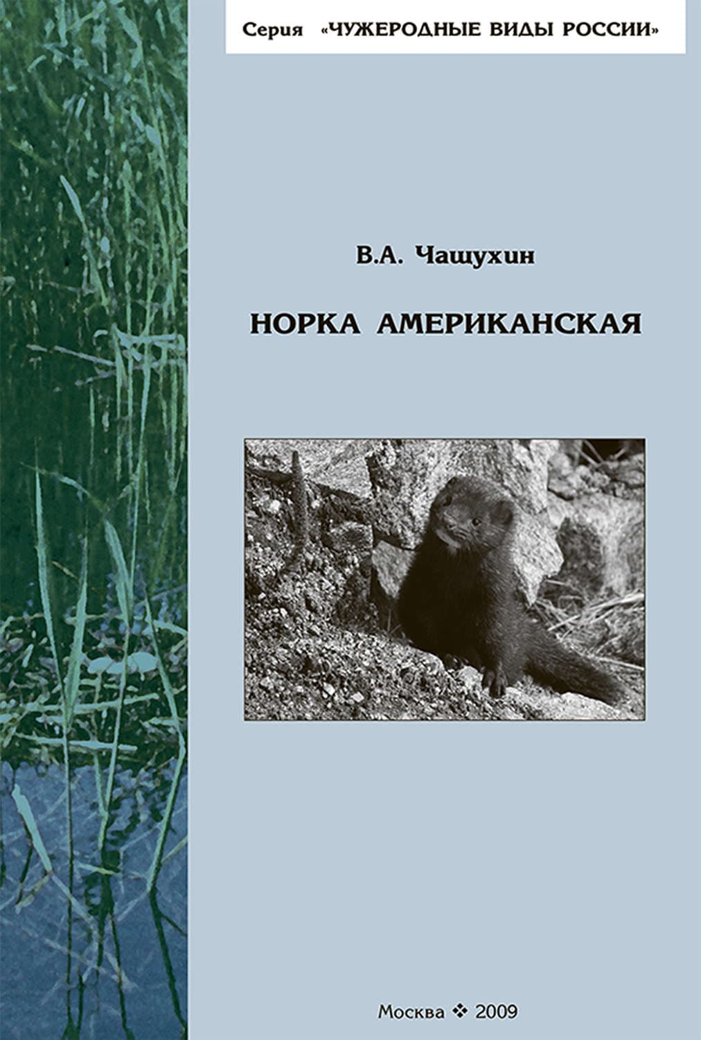 Обложка книги «Норка американская» — В. А. Чащухин