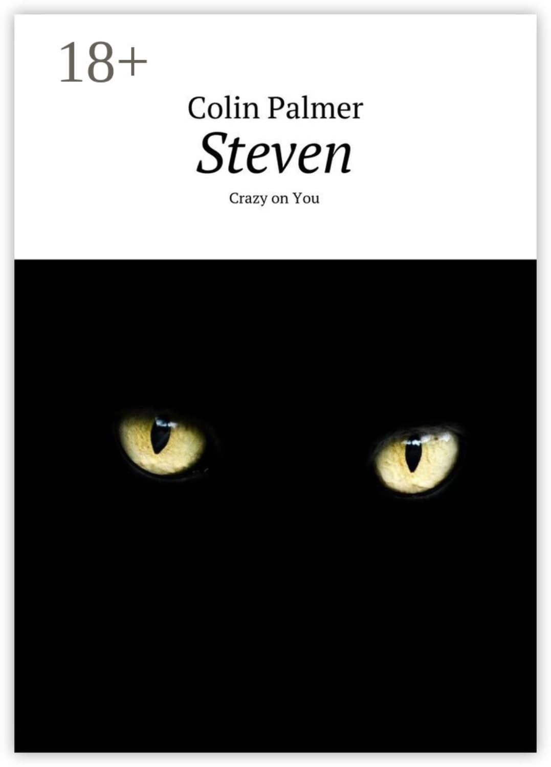 Обложка книги «Steven. Crazy on You» — Палмер Цолин