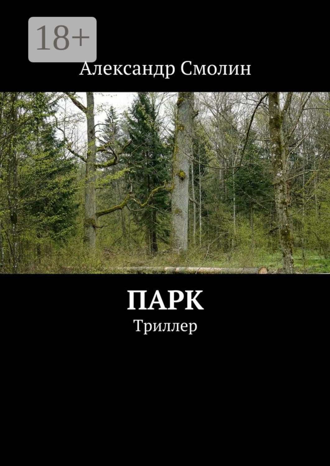 Обложка книги «Парк. Триллер» — А. В. Смолин