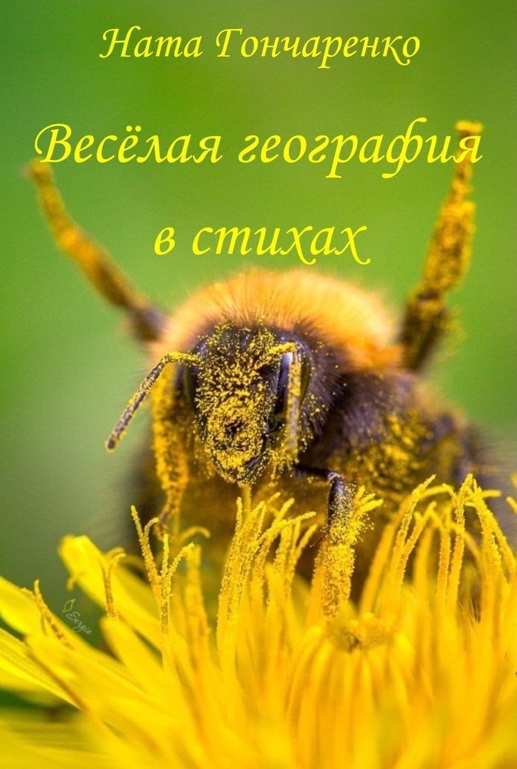 Обложка книги «Весёлая география в стихах» — Ната Гончаренко