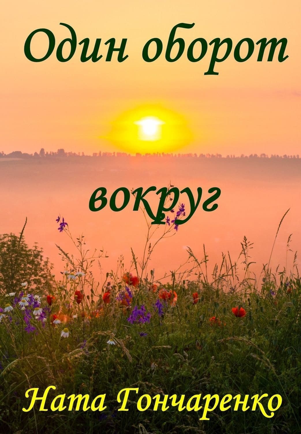 Обложка книги «Один оборот вокруг» — Анна Антонова, Ната Гончаренко