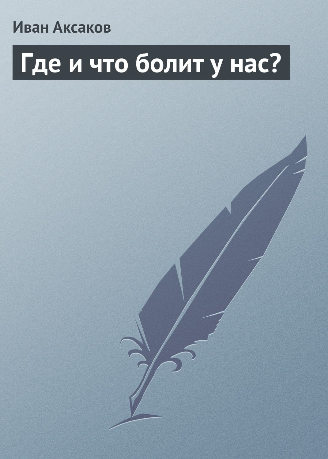 Обложка книги «Где и что болит у нас?» — Иван Аксаков