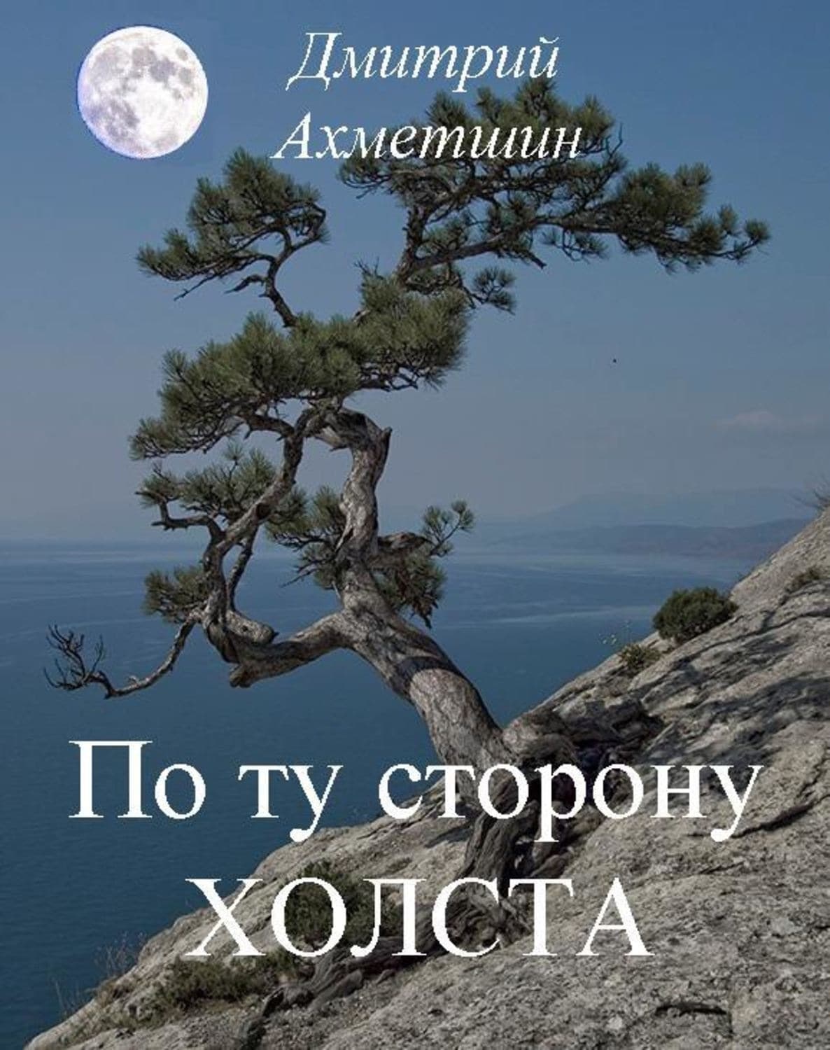 Обложка книги «По ту сторону холста» — Дмитрий Ахметшин