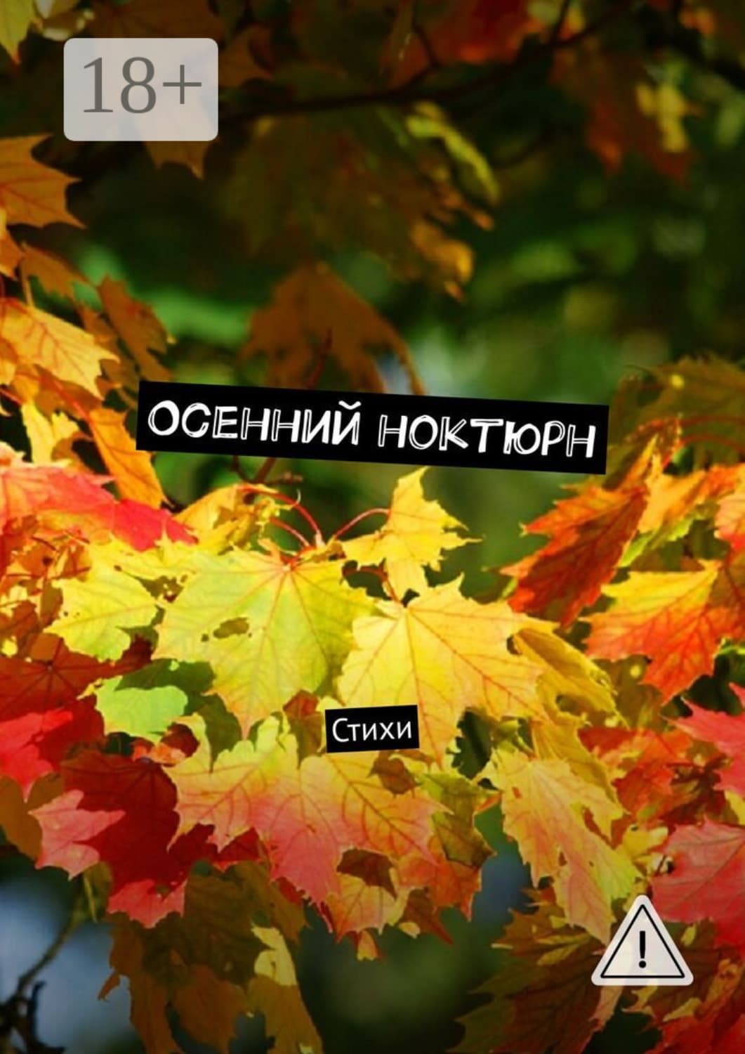 Обложка книги «Осенний ноктюрн. Стихи» — Виктор Серов