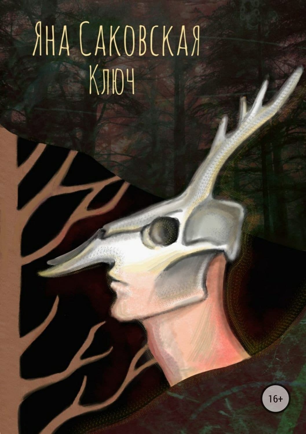 Обложка книги «Ключ» — Яна Саковская