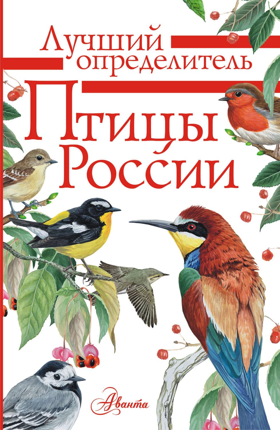 Обложка книги «Птицы России» — П. М. Волцит