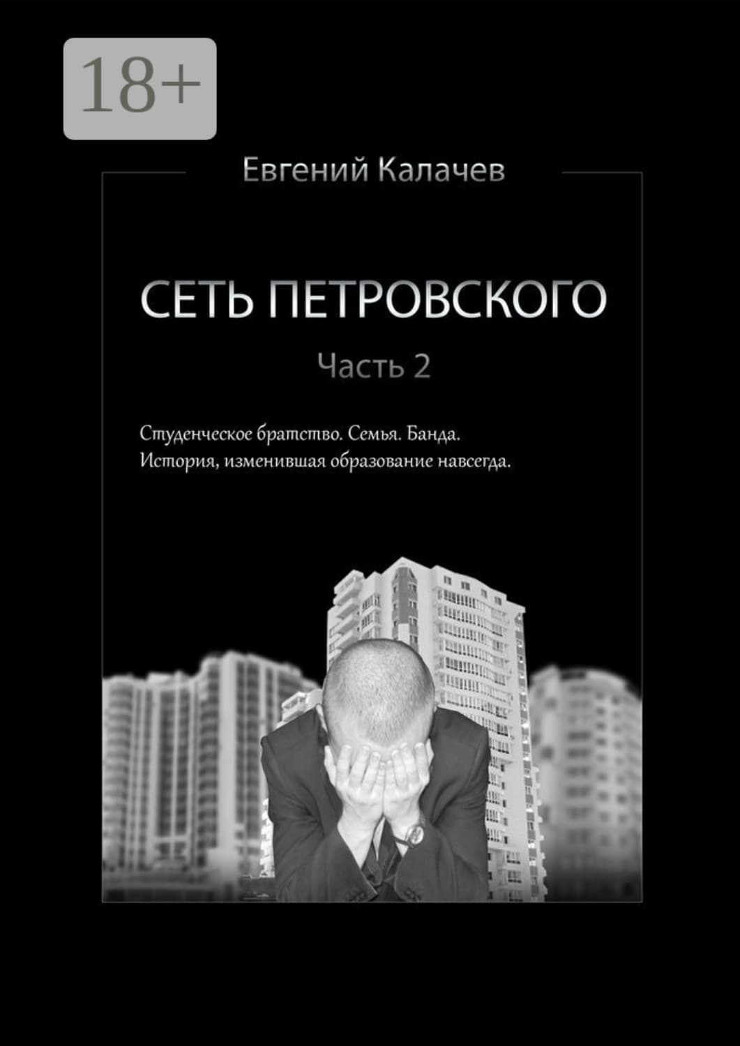 Обложка книги «Сеть Петровского. Часть 2» — Евгений Калачев