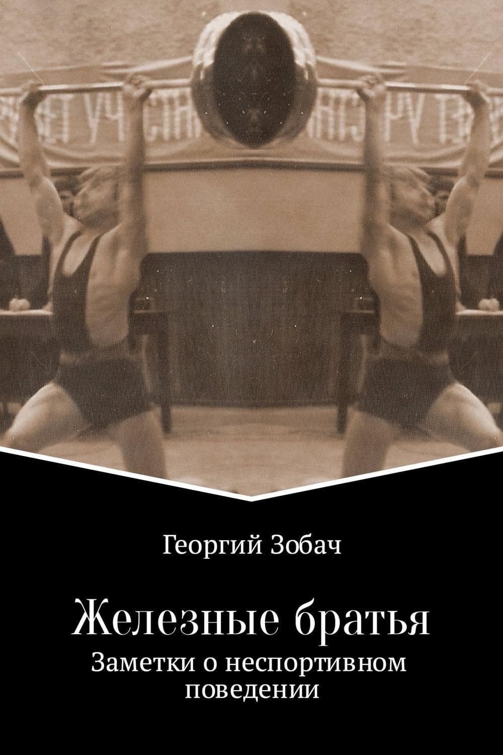 Обложка книги «Железные братья» — Георгий Зобач