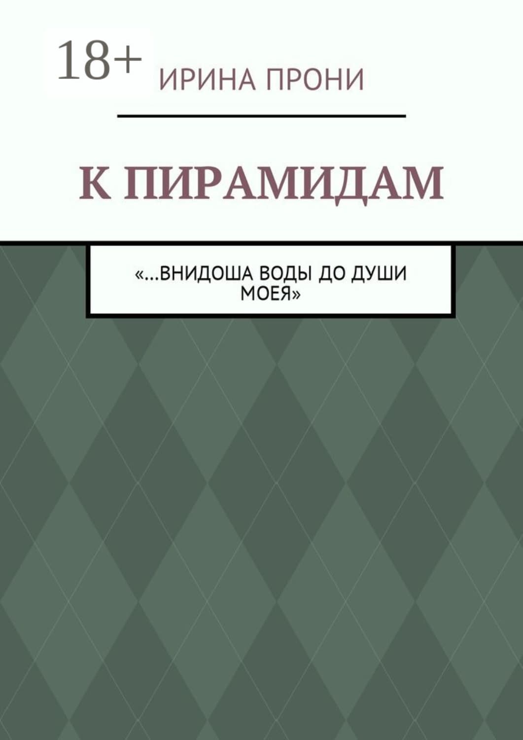 Обложка книги «К пирамидам. «…внидоша воды до души моея»» — Перец Ирина