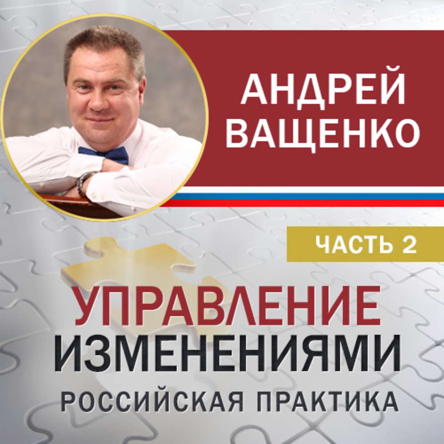Обложка книги «Управление изменениями. Российская практика. Часть 2» — Арсений Ващенко