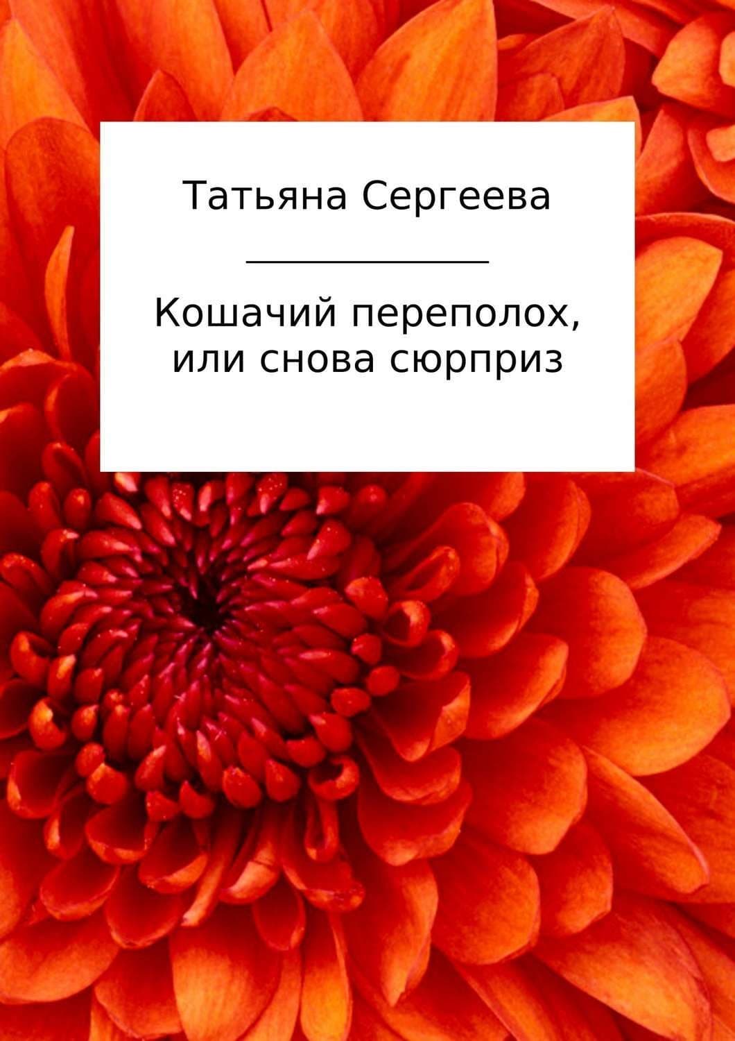 Обложка книги «Кошачий переполох, или Снова сюрприз» — Татьяна Сергеева