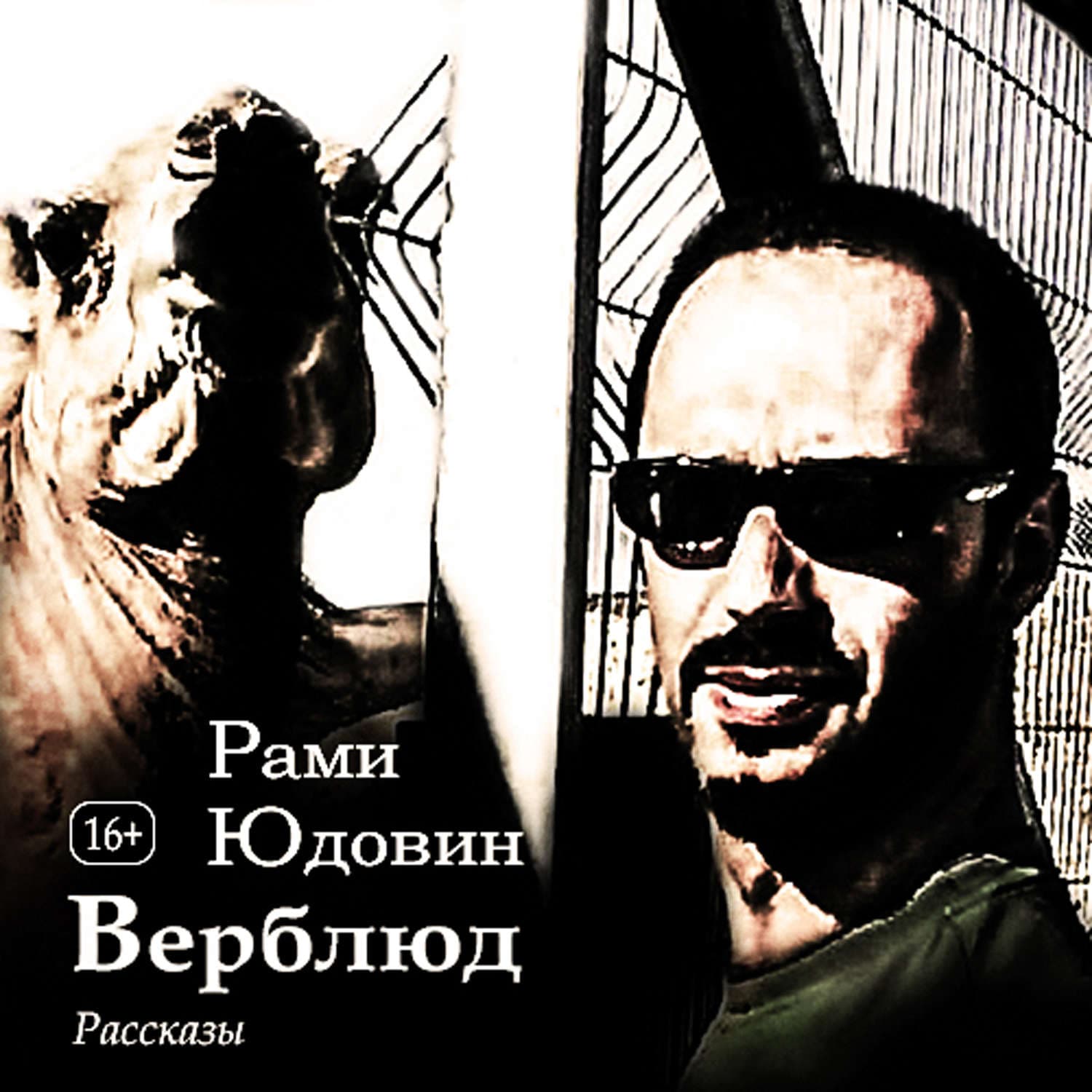 Обложка книги «Верблюд. Рассказы» — Рами Юдовин, Людмила Мартова