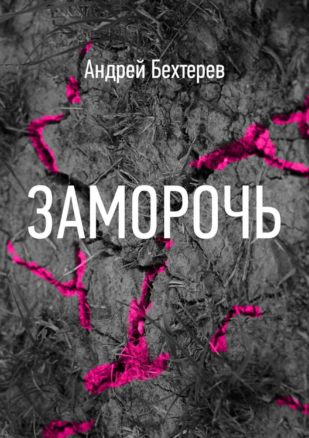 Обложка книги «Заморочь» — Андрей Бехтерев, Елена Яворская-Милешкина