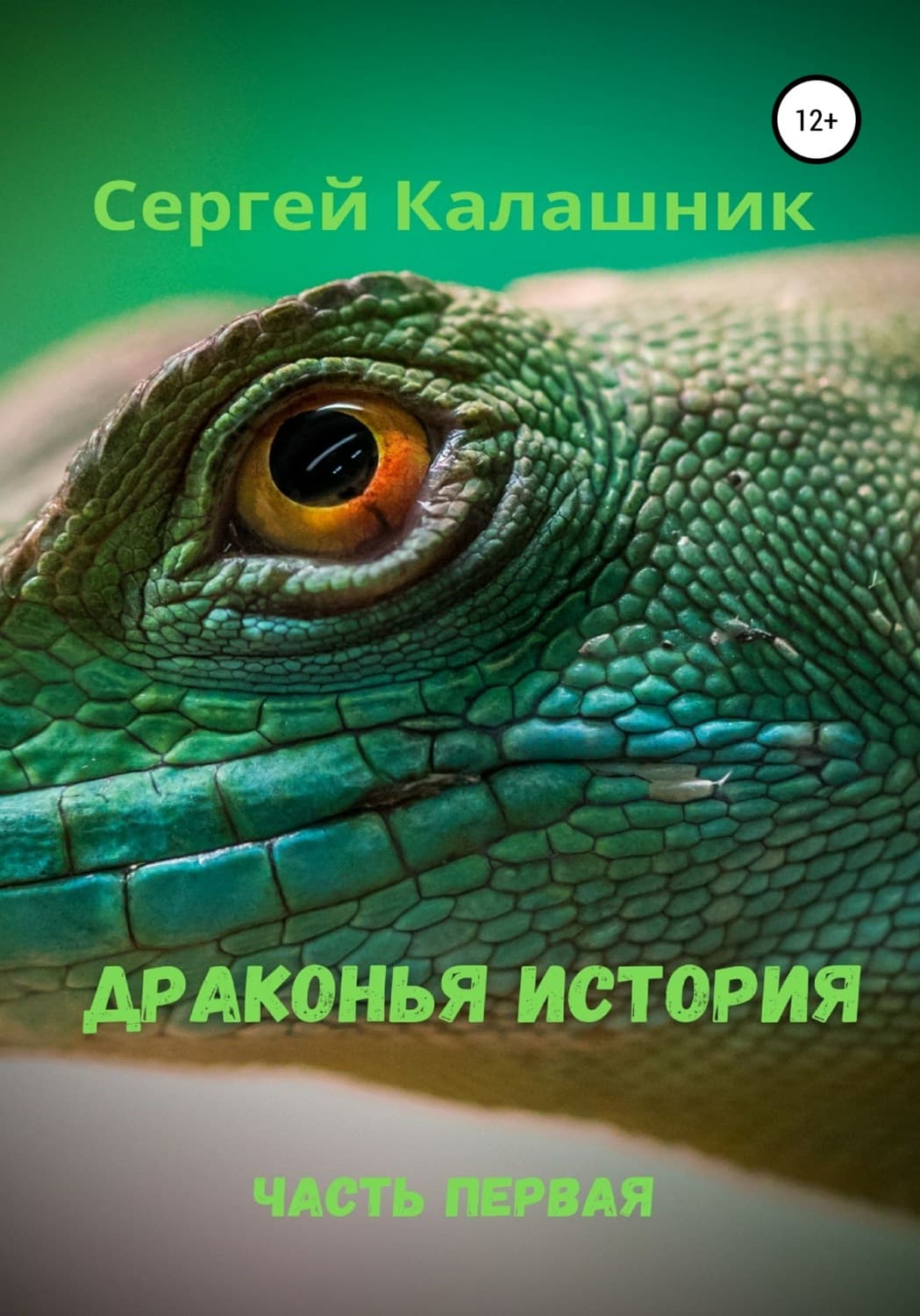 Обложка книги «Драконья история I» — Сергей Калашник, Анастасиа Селина