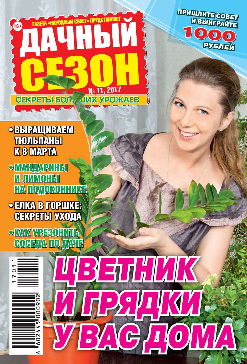 Обложка книги «Дачный сезон №11/2017» — Автор неизвестен