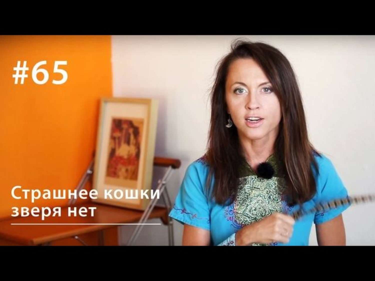 Обложка книги «Страшнее кошки зверя нет» — Евгения Тимонова