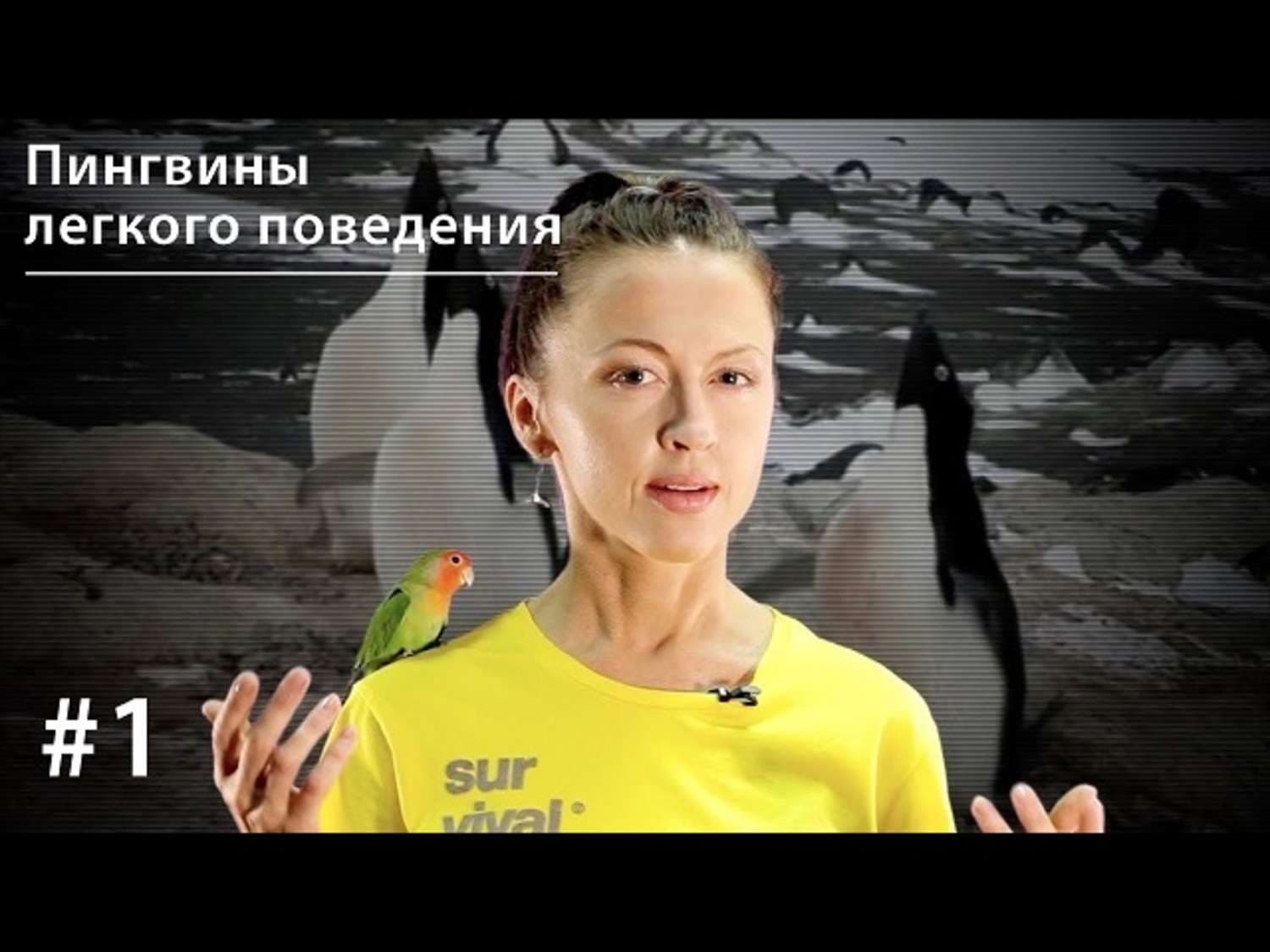 Обложка книги «Пингвины легкого поведения» — Евгения Тимонова