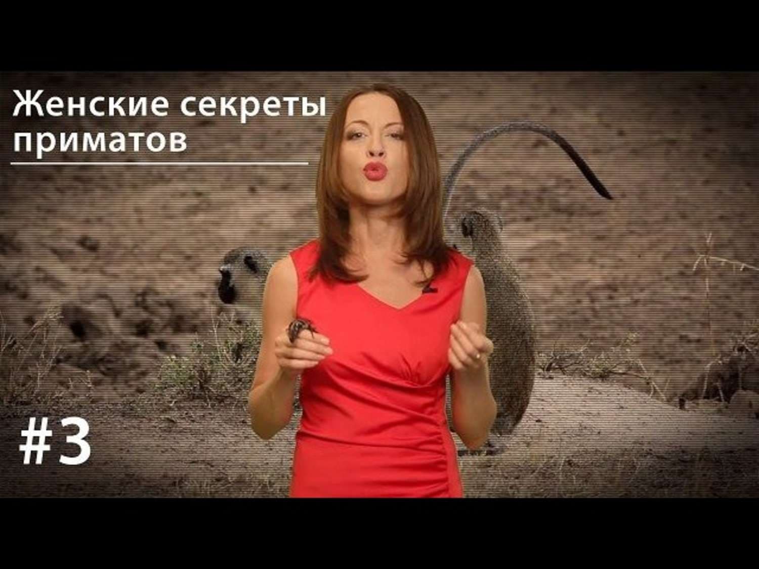 Обложка книги «Женские секреты приматов» — Евгения Тимонова