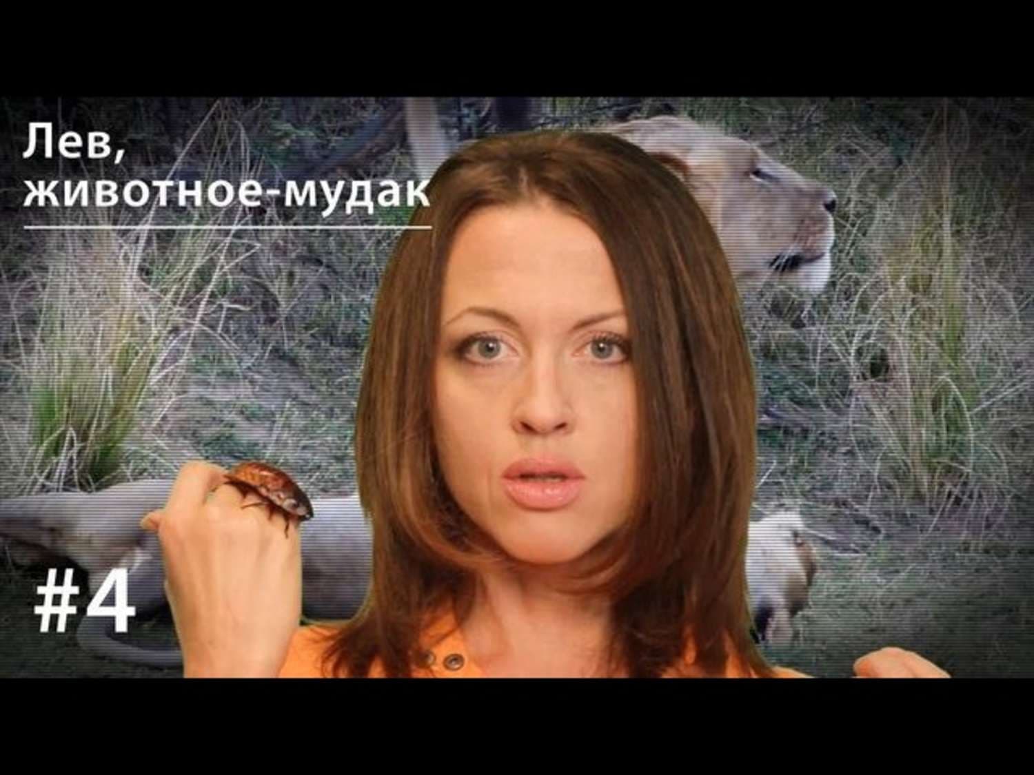 Обложка книги «Лев: животное-мудак» — Евгения Тимонова