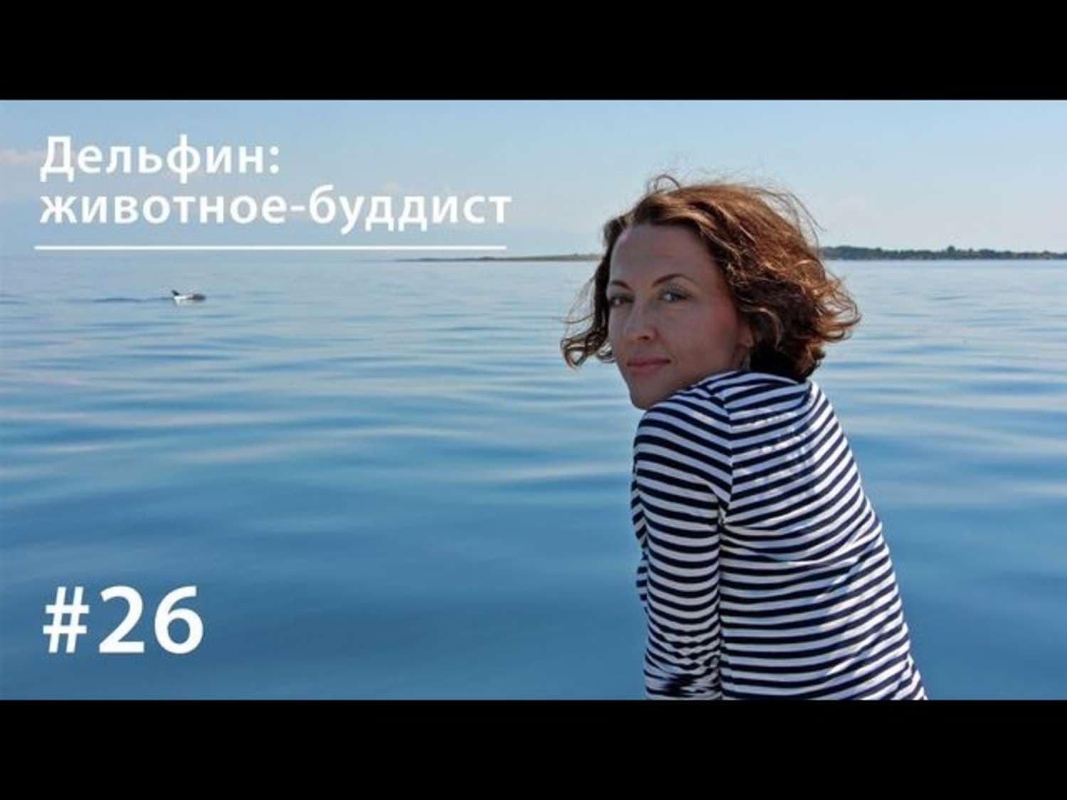 Обложка книги «Дельфин: животное-буддист» — Евгения Тимонова