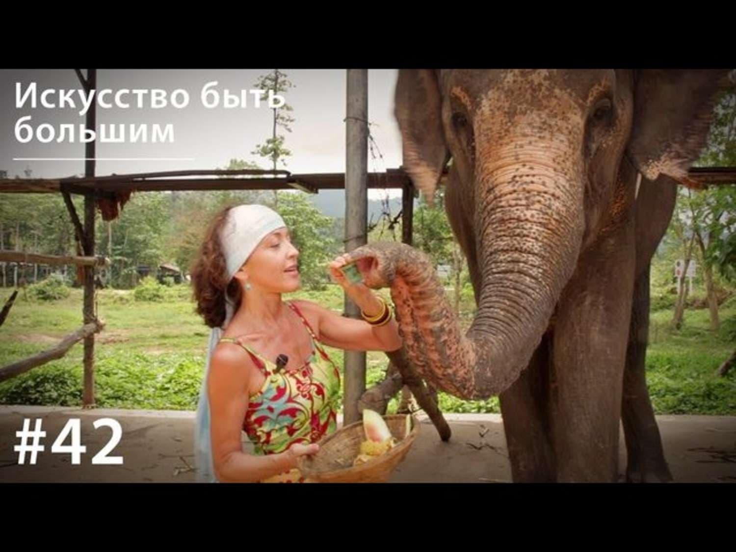 Обложка книги «Слон: Искусство быть большим» — Евгения Тимонова