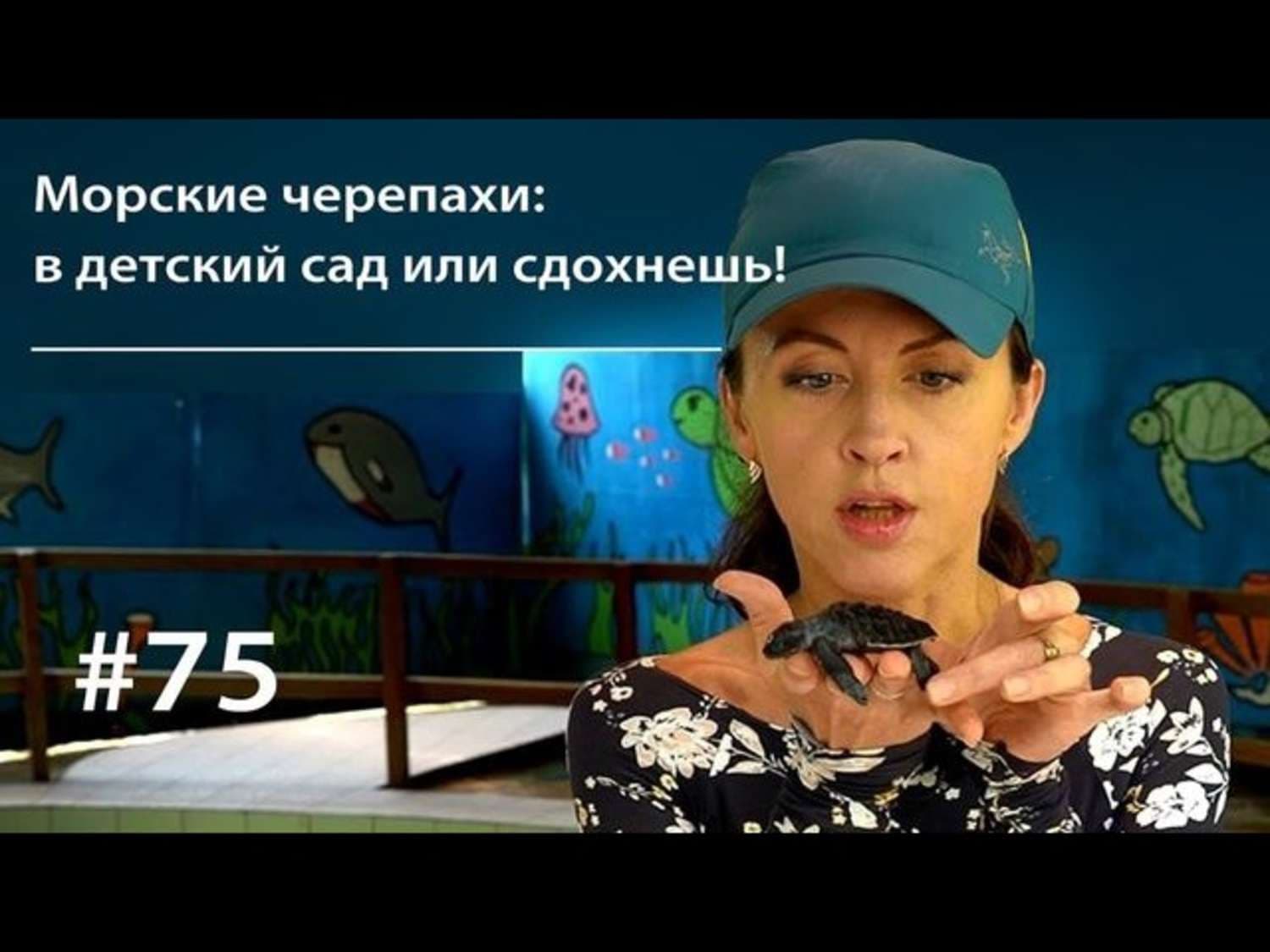 Обложка книги «Морские черепахи: в детский сад или сдохнешь!» — Евгения Тимонова