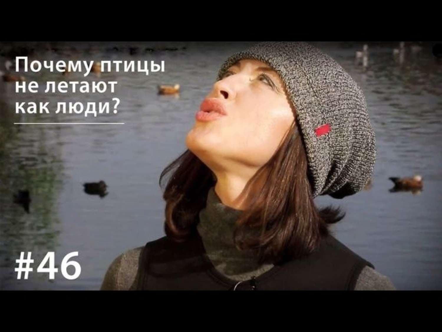 Обложка книги «Почему птицы не летают как люди?» — Евгения Тимонова