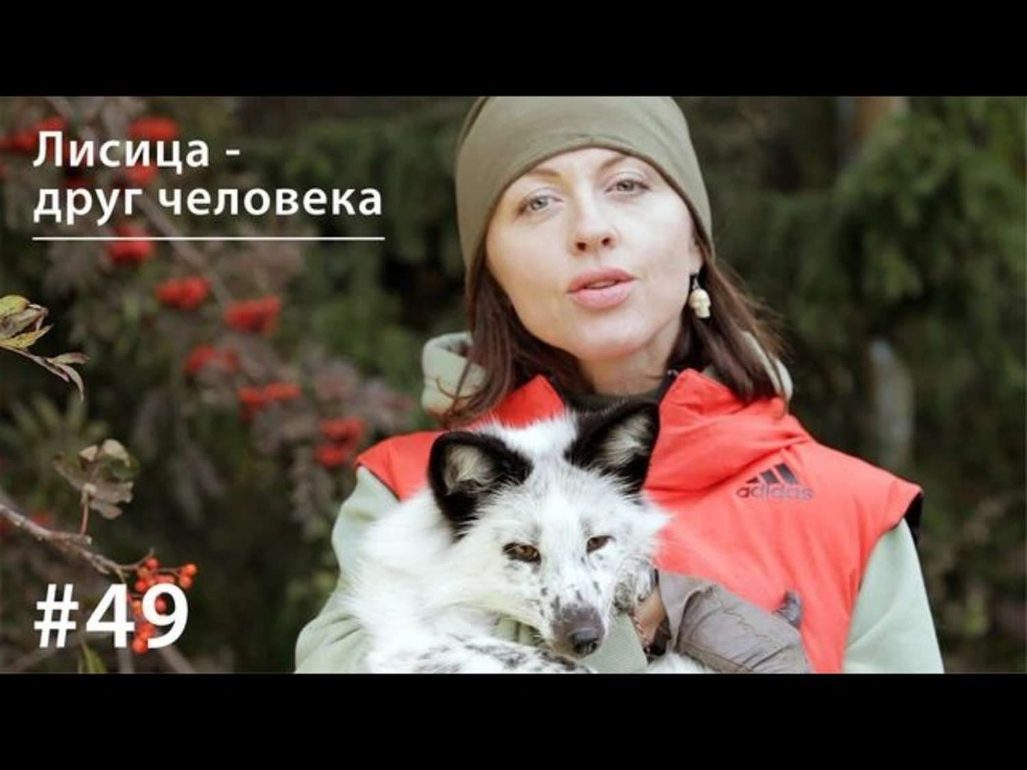 Обложка книги «Лисица - друг человека» — Евгения Тимонова