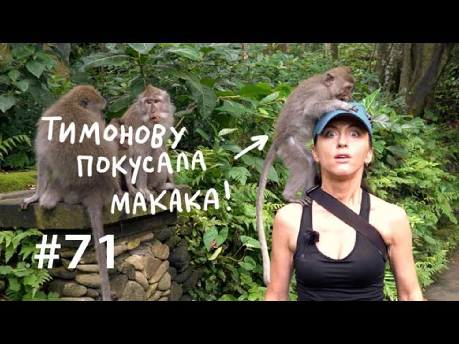 Обложка книги «Почему мы любим массаж и сплетни?» — Евгения Тимонова