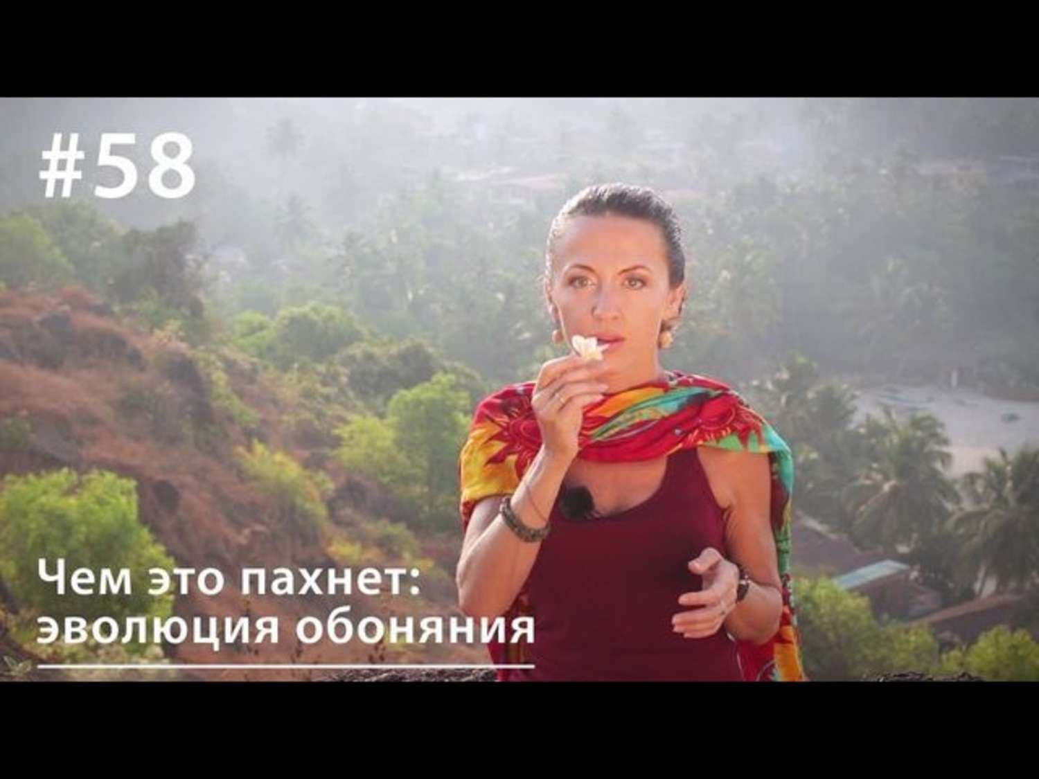 Обложка книги «Чем это пахнет: эволюция обоняния» — Евгения Тимонова