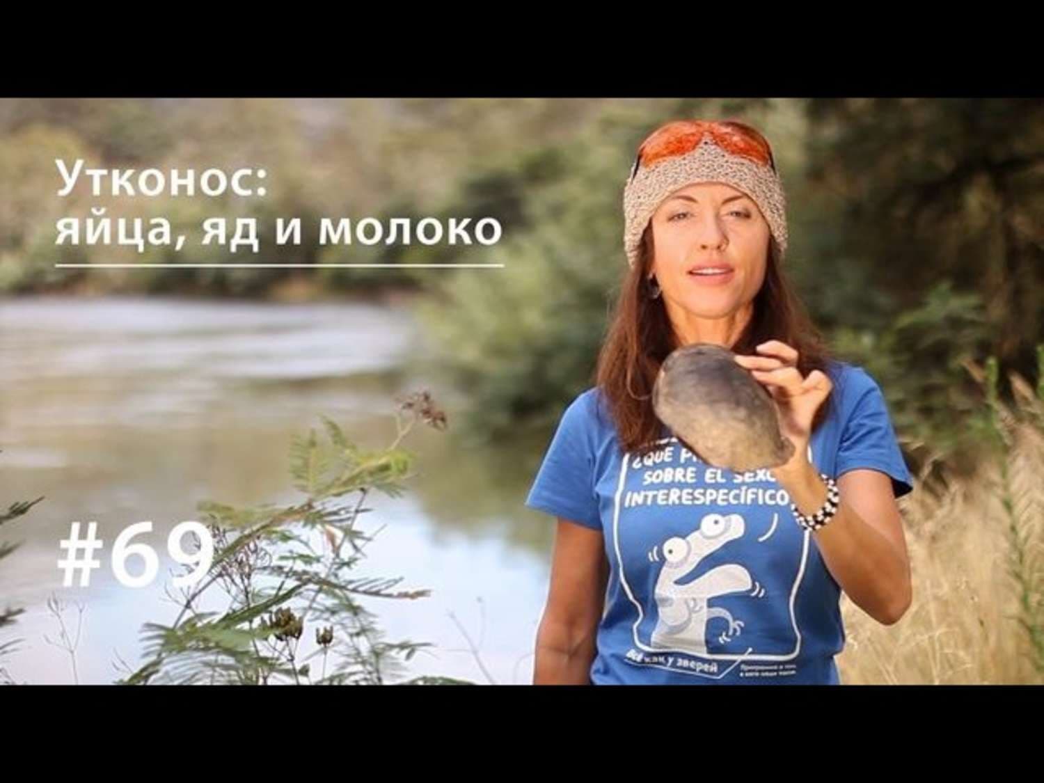 Обложка книги «Утконос: яйца, яд и молоко» — Евгения Тимонова