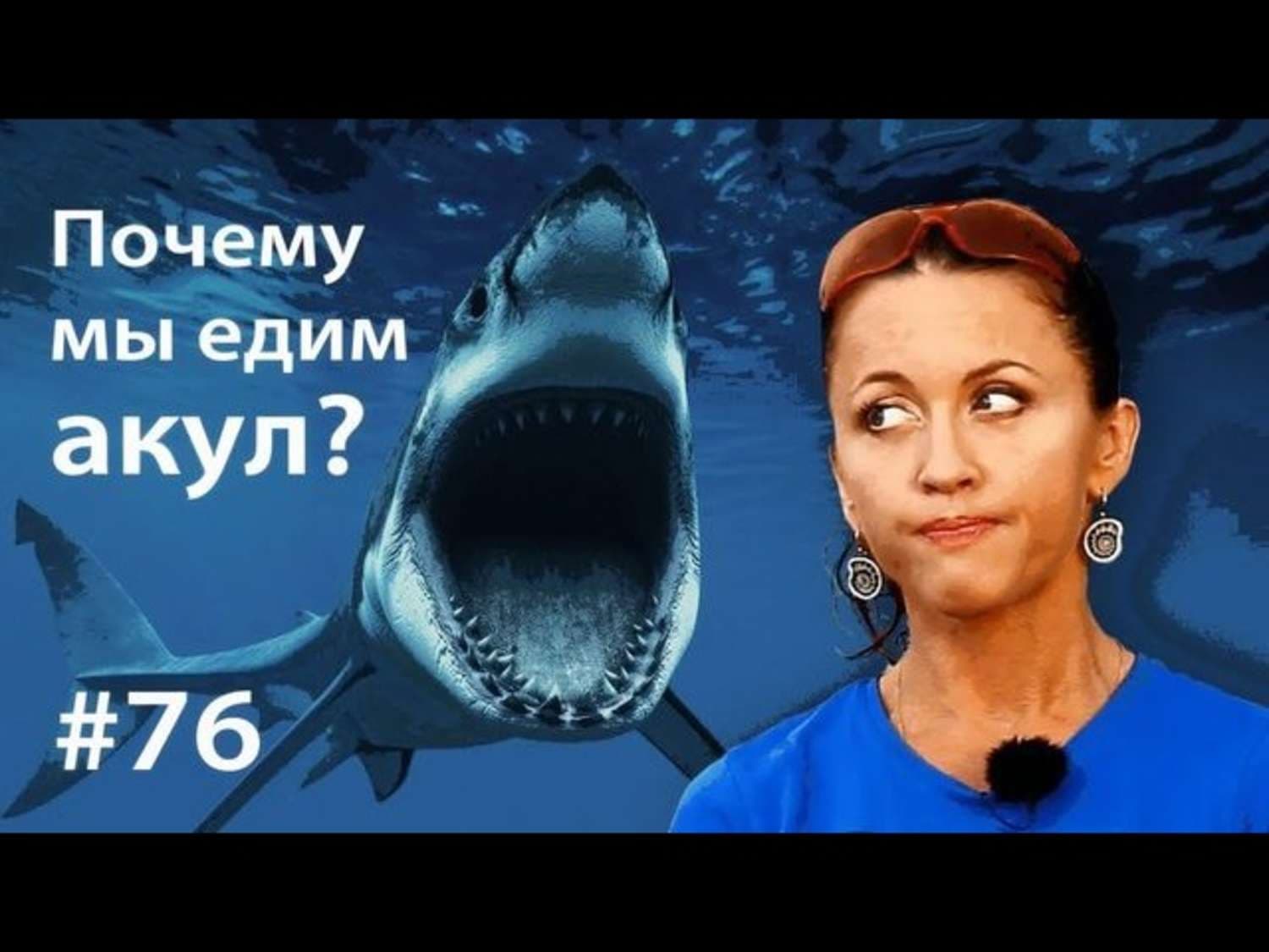 Обложка книги «Почему мы едим акул?» — Евгения Тимонова